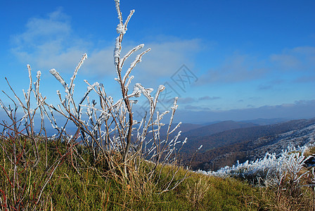 冷冻剂 harfrost地块猪背爬坡远足太阳晴天旅行阳光高地天气图片
