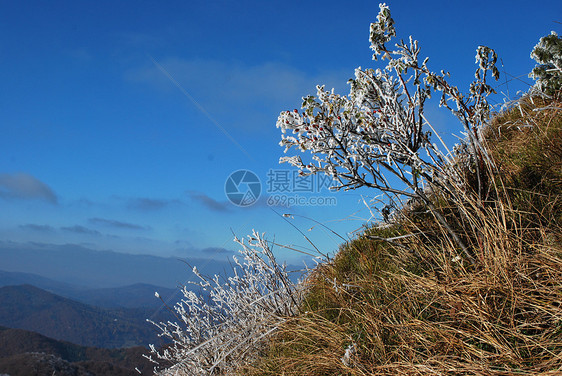 在比塞萨底山中图片