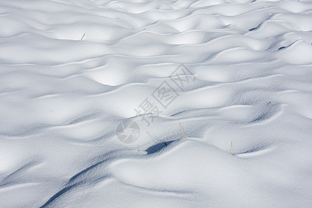 覆盖的雪雪雪寒冷冰镇地幔波浪状雪花初音雪堆季节性冻结白色图片
