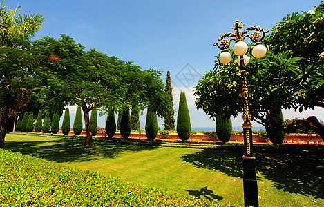 绿公园植物学天空植物群植物栏杆花园草地绿色阴影金子图片