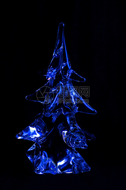 蓝水晶树图片