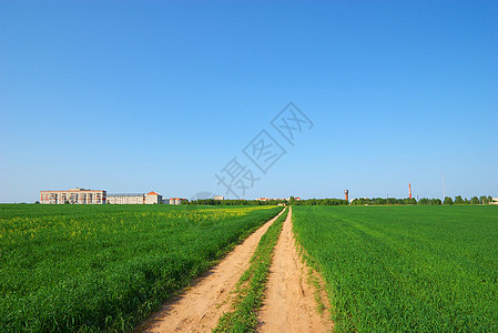 穿越绿地的道路自由阳光土地地平线蓝色环境水平天空风景天气图片