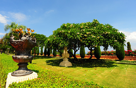 花园园花瓣公园绿色植物叶子装饰植物学花园天空草地图片