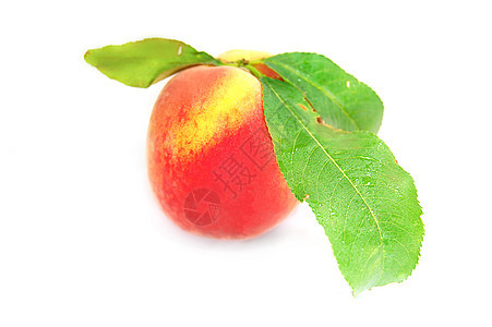桃食物收成维生素叶子绿色白色营养水果橙子黄色图片