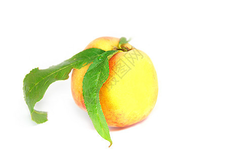 桃收成叶子营养维生素橙子白色绿色甜点水果食物图片