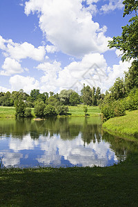 夏季风景地平线灌木反思植物群池塘日光叶子海岸蓝色海岸线图片