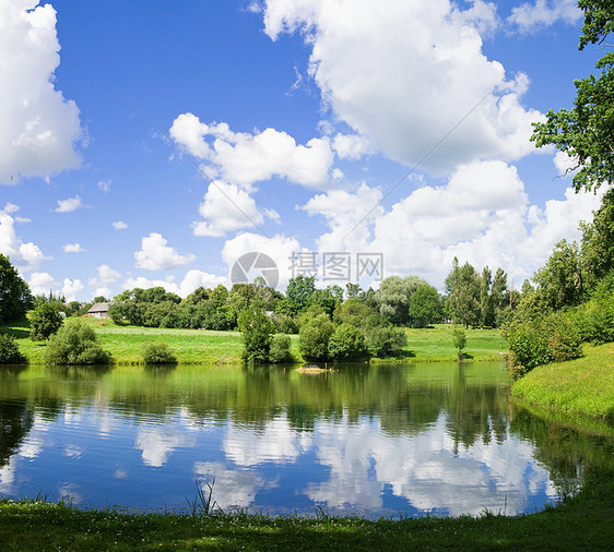 夏季风景反思灌木丛植物群季节沼泽树叶灌木荒野全景地平线图片