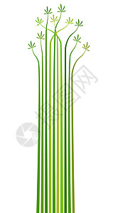 棕榈白色元素条纹叶子植物绿色插图平行线生长设计背景图片