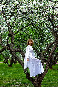 白女人女孩裙子女士苹果树衣服新娘精灵女性叶子微笑图片