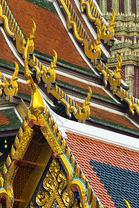 曼谷的屋顶详情图片