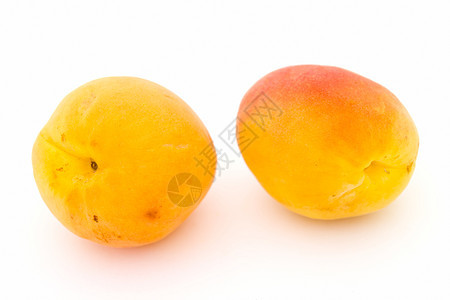 两个大杏子图片