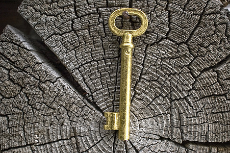 旧金色的钥匙标签同心森林古董老化金属生活年度棕色木头图片