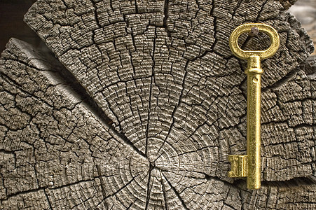 旧金色的钥匙木头年度生活日志老化材料棕色森林金子圆圈图片