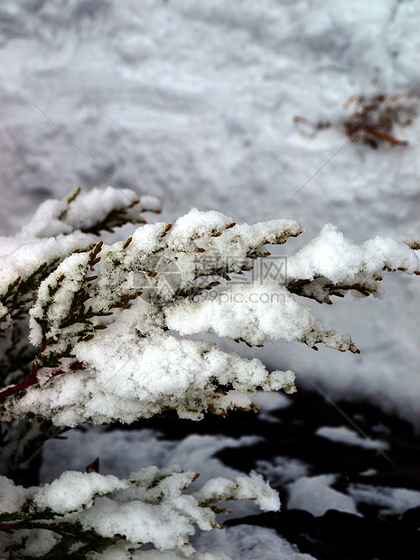 雪图片