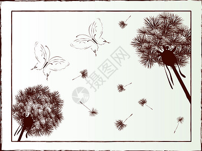 丹迪利翁和蝴蝶杂草植物插图图片