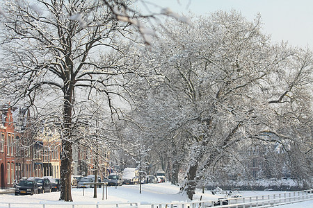 城里的雪路面白色树木降雪薄片汽车街道建筑物城市季节图片