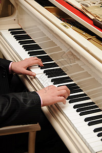 双手弹钢琴音乐按钮教育学习艺人歌曲宏观键盘钥匙手指图片