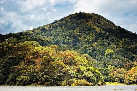 绿色青山森林林地高地阳光晴天山腰全景天空空地爬坡图片