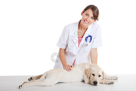 照顾狗的兽医学微笑女性关爱兽医诊断女孩考试医院猎犬助手图片