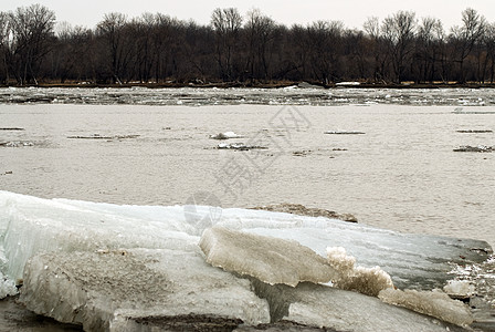 伊西河危险流动洪水漂浮树木水晶季节冻结图片