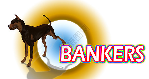 狗形象恨银行家的狗狗毛皮商业犬类银行业公司银行身体哺乳动物动物宠物背景