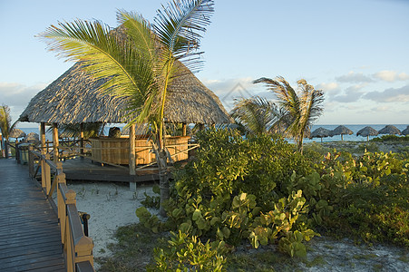 Palapa 栏海滩海洋旅行假期晴天酒吧热带派对食物棕榈图片