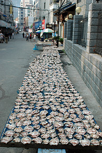 中国干鱼图片