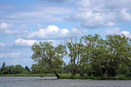 伏尔加河阳光森林季节旅行木头溪流地平线树木天空荒野图片