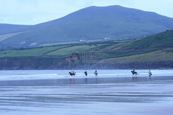 海滩上的马匹蓝色海岸图片