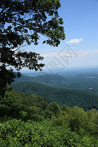 Blue Ridge山  弗吉尼亚州景点大路森林山峰树木旅行乡村蓝色风景山脉图片