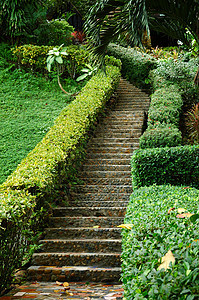 脚步人行道衬套园艺曲线岩石叶子花园楼梯车道植物图片