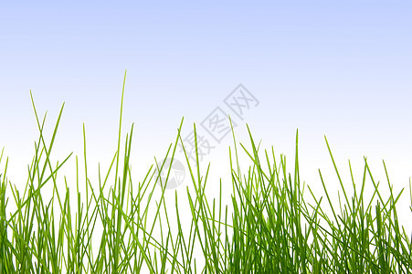草割草机园艺草皮农业植物农田小麦生态环境草地图片