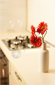 在现代厨房的桌上摆着美丽的花朵窗户制品植物晴天烹饪器具野花乡愁建筑学房子图片