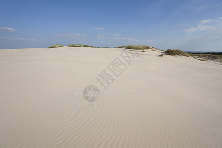 由风和水形成的沙浪冲浪涟漪场景黄色海岸线脆弱性旅行气候寂寞热带图片