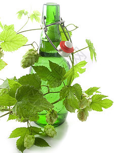 啤酒味道绿色香气发酵锥体瓶子背光啤酒厂酿造饮料图片