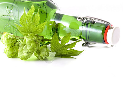 啤酒玻璃酿造绿色锥体苦味背光味道饮料树叶瓶子图片
