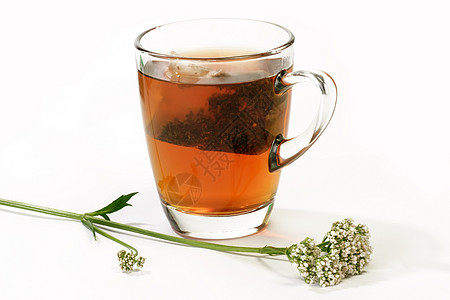 谷地茶药品生活方式医疗药物草药保健杯子植物草本植物睡觉图片