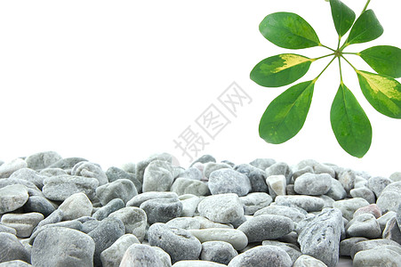 石头和树叶卡片框架生活岩石冥想绿色黑色治疗温泉竹子图片