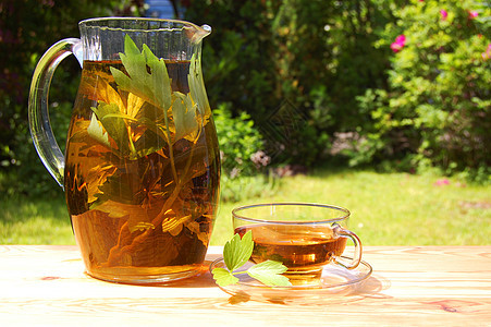 园里的茶杯太阳咖啡店餐巾叶子闲暇咖啡绿色器皿早餐公园图片
