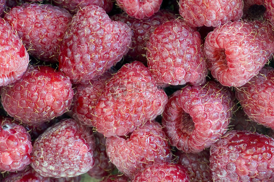 新鲜的成熟草莓背景摘要(Raspberry)图片