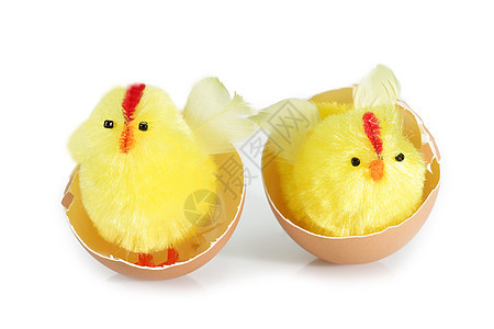 两个朋友蛋壳新生黄色食物玩具生活婴儿动物白色图片