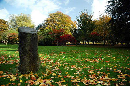 Cardiff 公园绿色天空黄色树叶树木蓝色图片