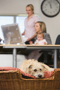 狗躺在家庭办公室里 有两名妇女和一名背景婴儿图片
