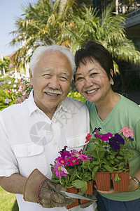 夫妇一起园艺植物群栽培培育活动日常生活成年人家庭生活感情空闲花朵图片