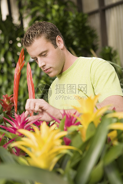 带植物的男子园艺眼神园丁生活伙计们中年人男士男人男性植物群图片