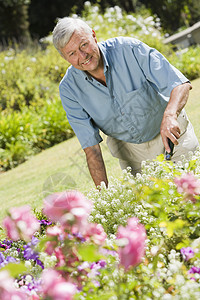 在花园工作的年长男子挖掘养老金种植园艺琐事花坛祖父祖父母男人花园图片