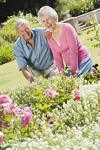在花园工作的年长夫妇两个人爱好花坛男性女性夫妻琐事园艺祖父男人图片