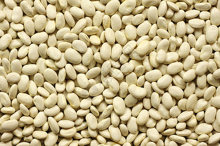 豆子蔬菜墙纸饮食大豆食物宏观种子白色营养纤维背景图片
