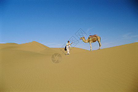 妇女户外用骆驼在沙漠中散步远处沙丘相机单峰成年人女性人种动物蓝天成人外表图片