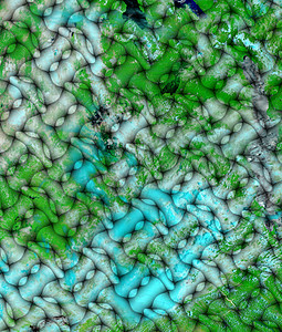 抽象的 3D 设计墙纸绿色艺术插图天蓝色背景图片